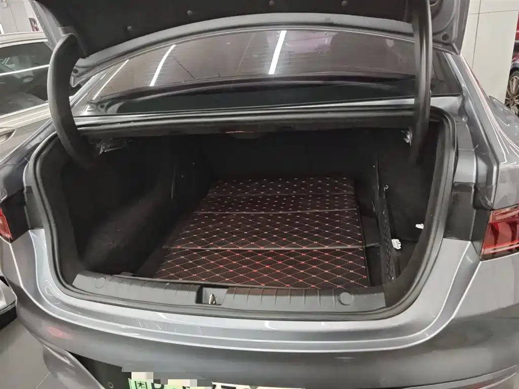 BYD Qin PLUS 2021 DM-i 55KM Flagship фото 15