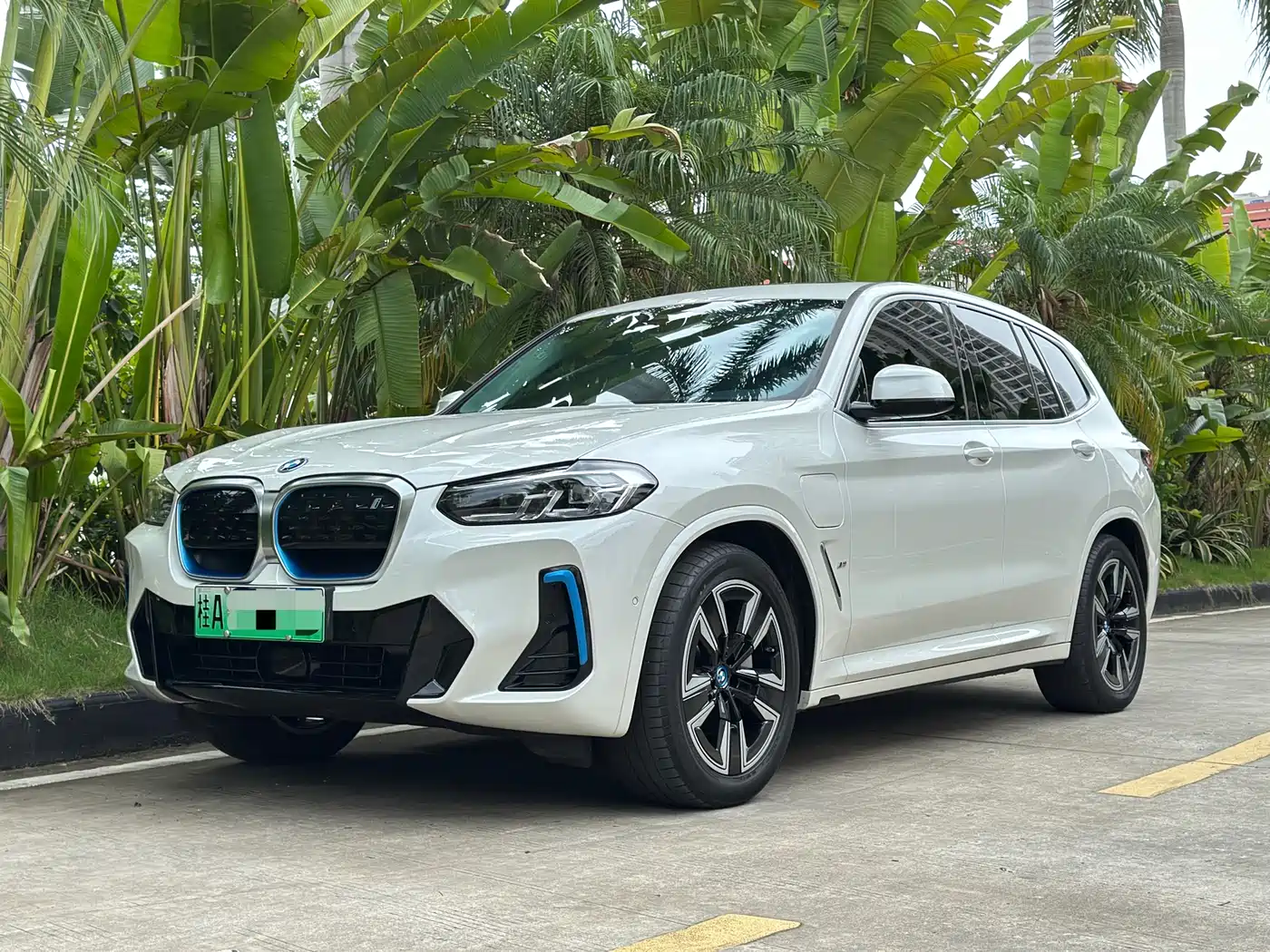 BMW iX3 2022 Leading Edition