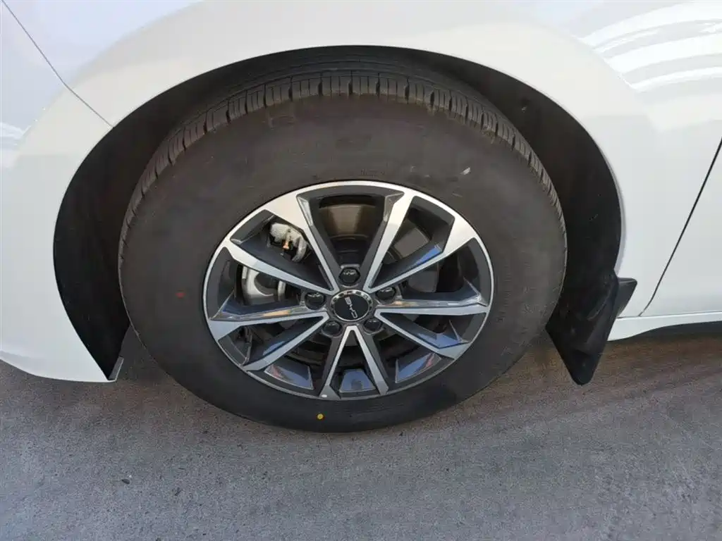 BYD Destroyer 05 2024 Glory Edition DM-i 55KM Luxury фото 23