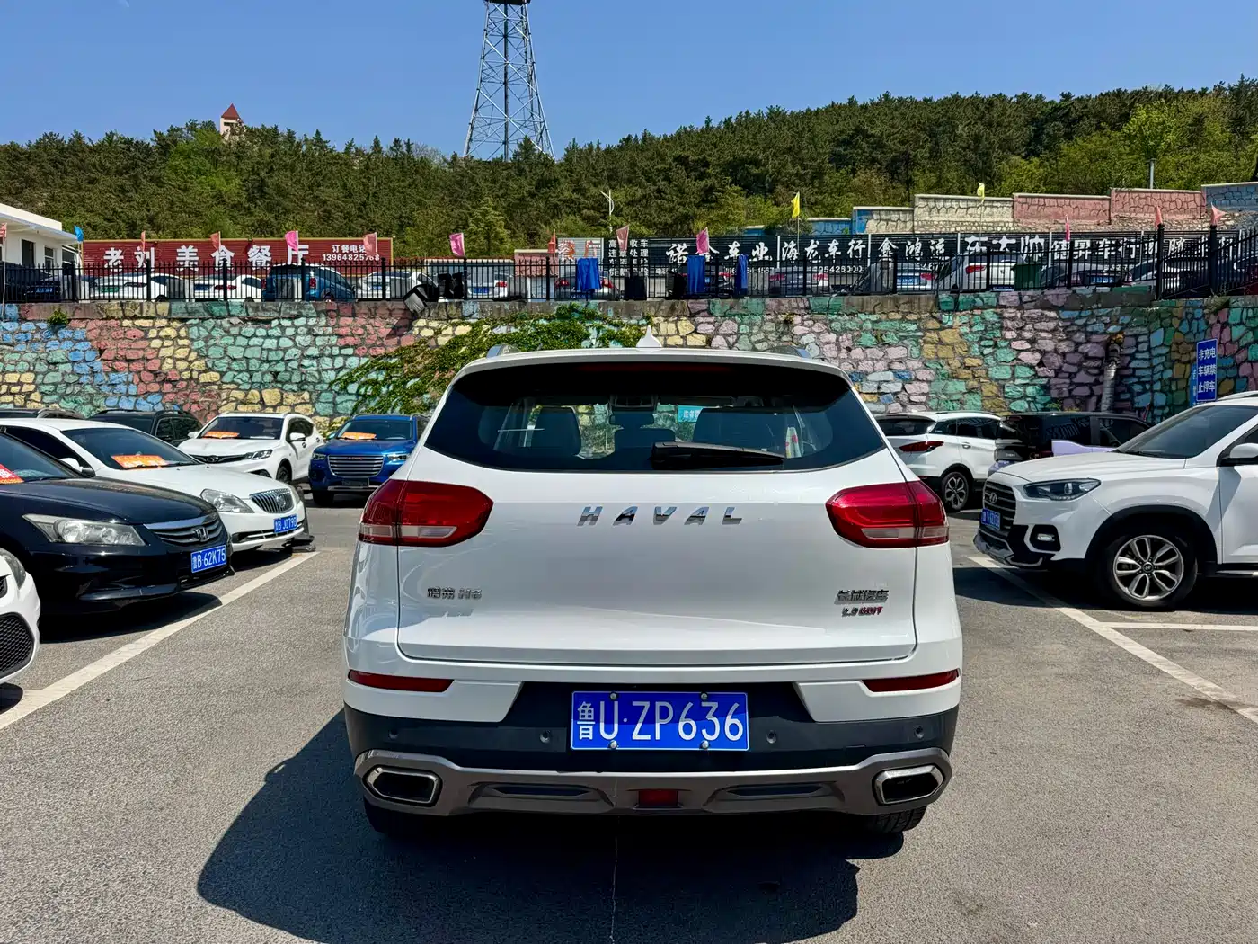 Haval H6 2020 2.0GDIT Automatic Platinum Champion Edition фото 8