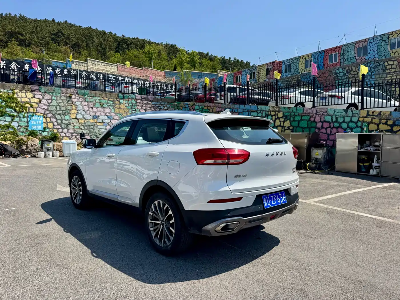 Haval H6 2020 2.0GDIT Automatic Platinum Champion Edition фото 7