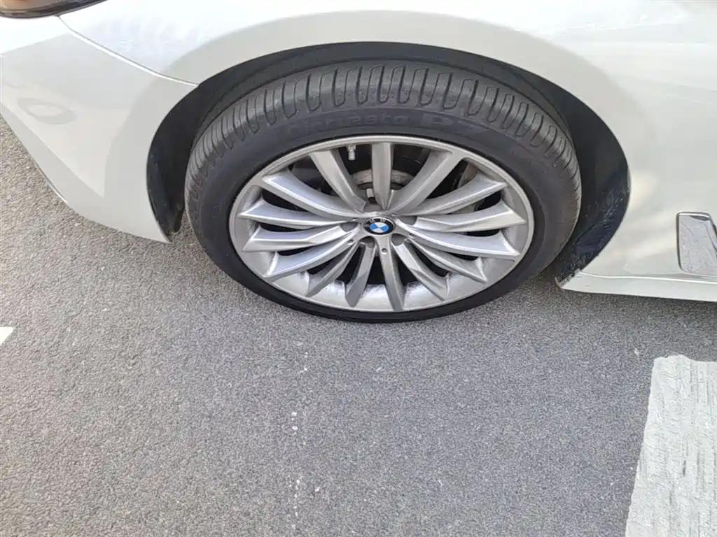 BMW 5 Series 2022 530Li Leading Luxury Package фото 23