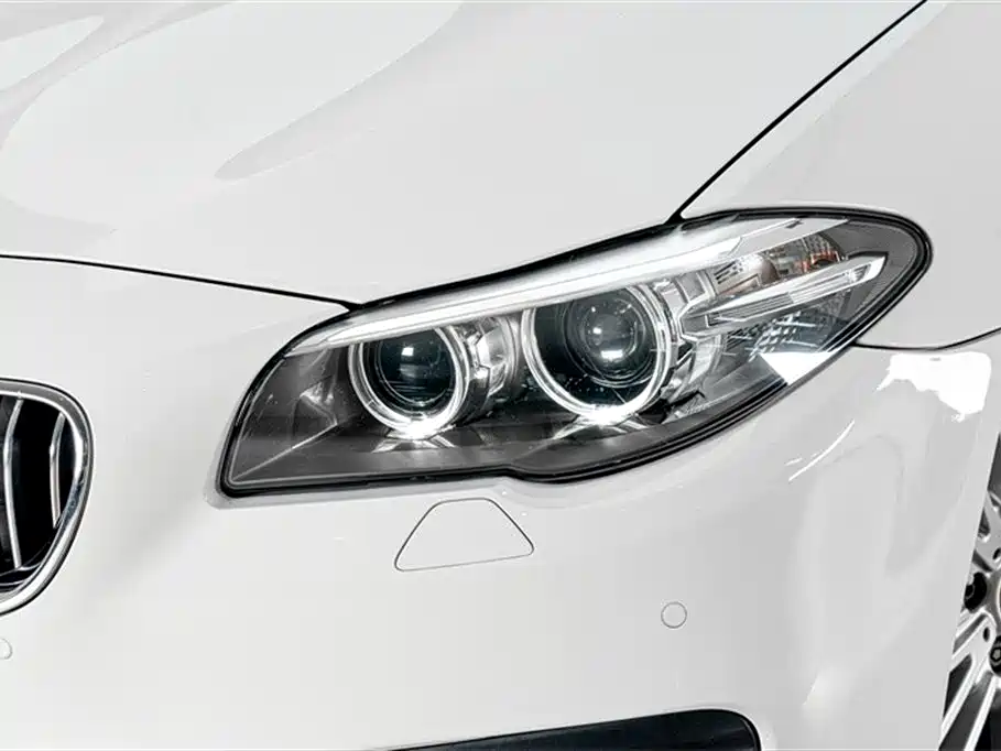 BMW 5 Series 2014 525Li Leading фото 7