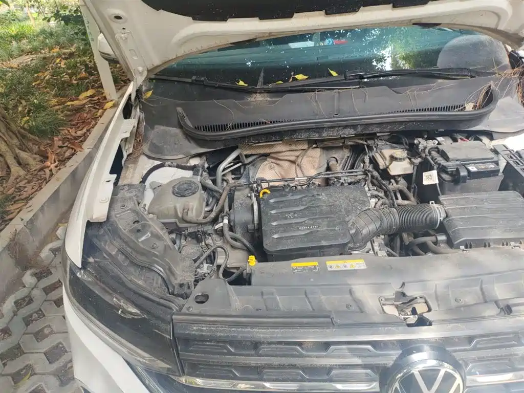 Volkswagen Tanying 2021 1.5L Automatic Smart Connect Edition фото 23