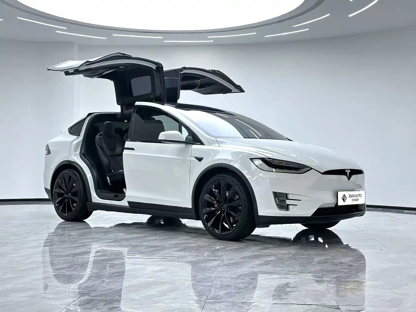 Tesla Model X 2017 2016 Model X P100D Performance