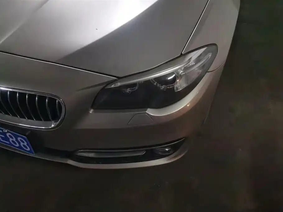BMW 5 Series 2017 525Li Luxury Design Package фото 5