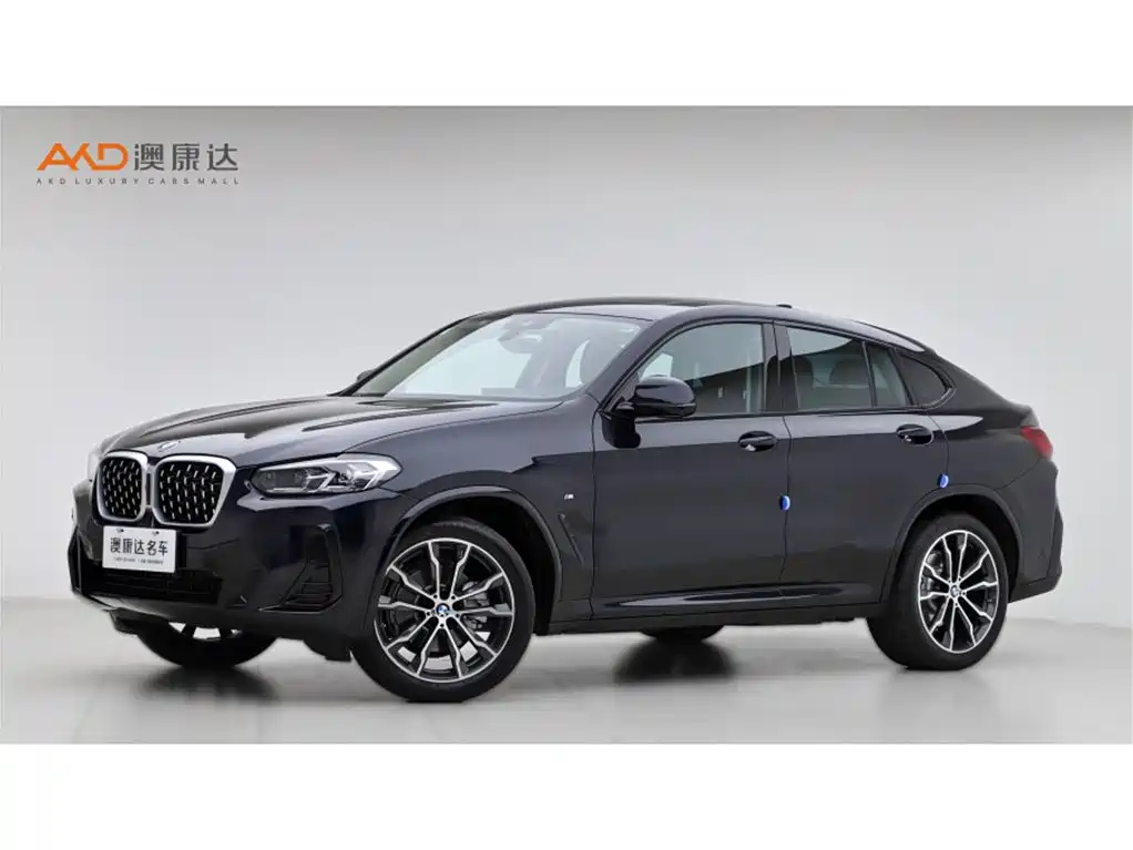 BMW X4 2022 xDrive 30i M Sport Package