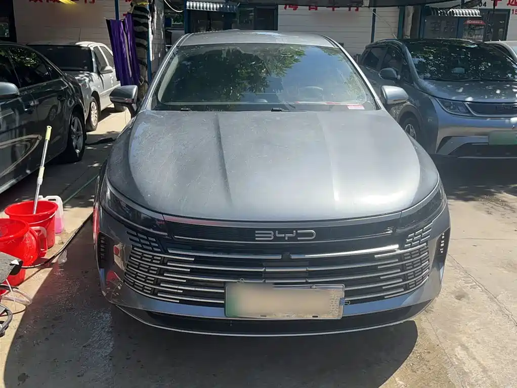 BYD Destroyer 05 2024 Glory Edition DM-i 55KM Luxury фото 11
