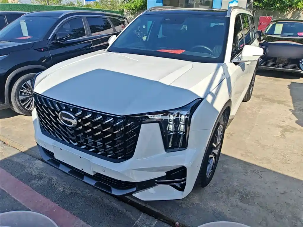 GAC Trumpchi Trumpchi GS8 2022 Pilot Series 2.0TGDI 2WD Premium Edition (7-Seater) фото 2
