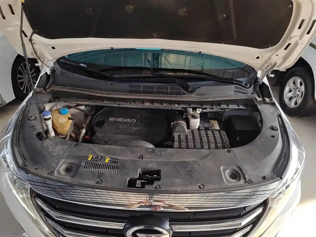 GAC Trumpchi Trumpchi M8 2023 Leading Series 390T Prestige Edition фото 20