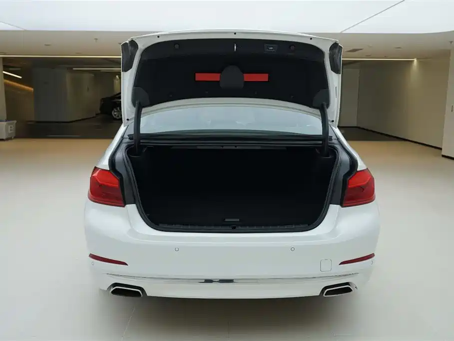 BMW 5 Series New Energy 2020 530Le Range Upgrade Luxury Package фото 6