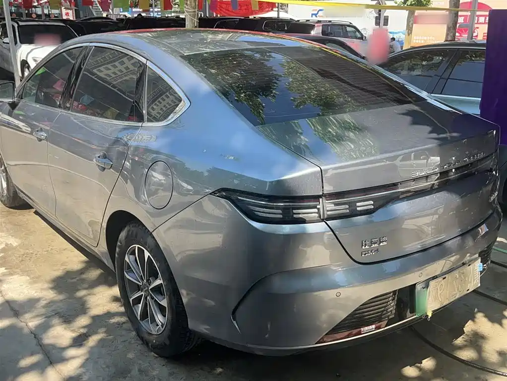 BYD Destroyer 05 2024 Glory Edition DM-i 55KM Luxury фото 13