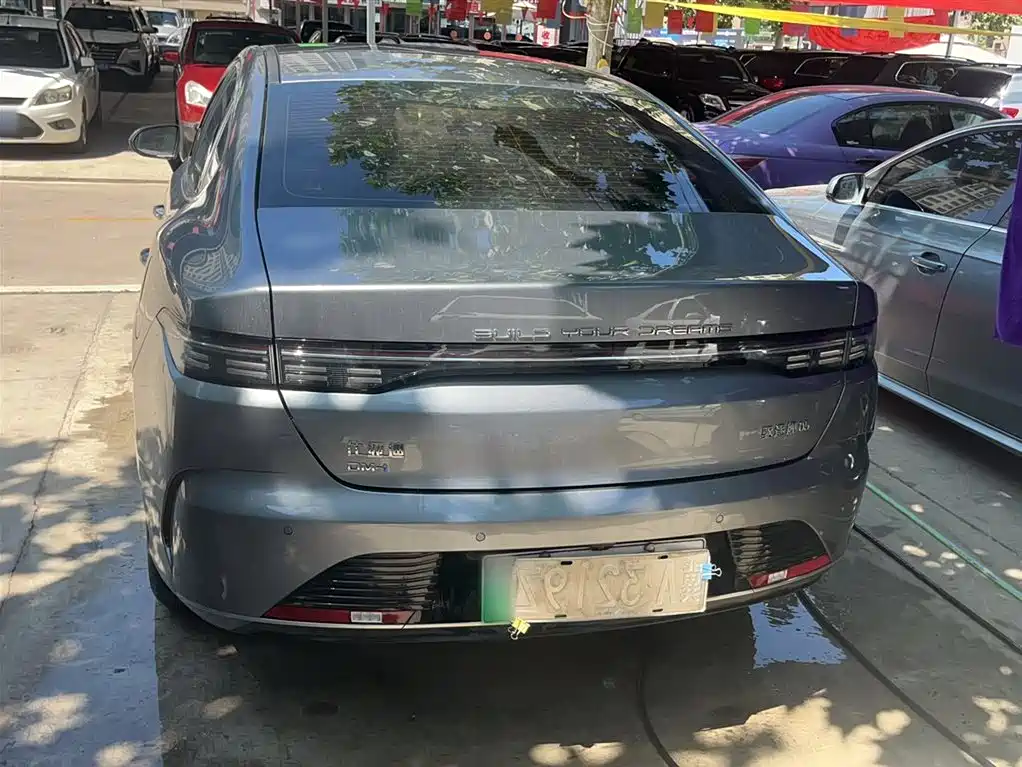 BYD Destroyer 05 2024 Glory Edition DM-i 55KM Luxury фото 12