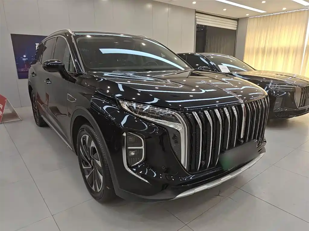 Hongqi HS7 PHEV 2024 2.0T PHEV 4WD Flagship Edition 6-seater фото 4