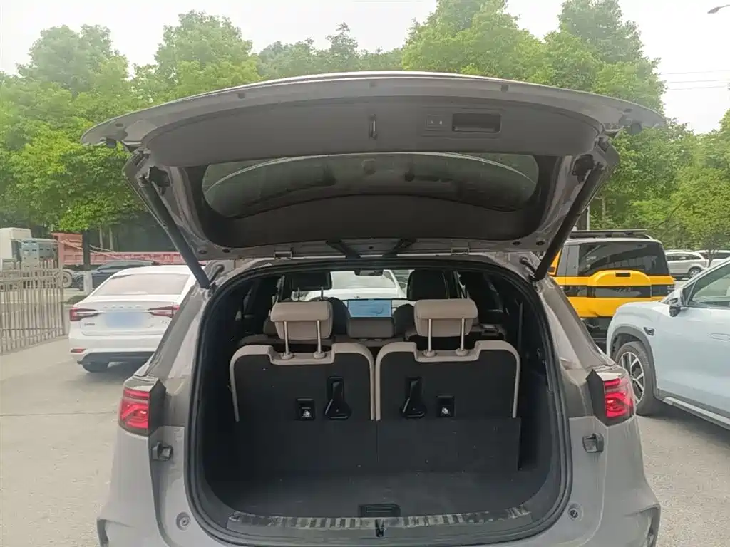 BYD Tang New Energy 2025 Smart Driving Edition DM-i 115KM Flagship фото 19