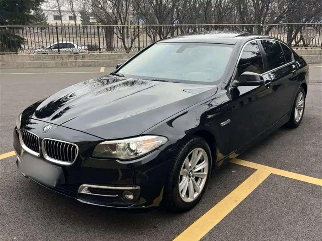 BMW 5 Series 2014 520Li Elegance фото 5