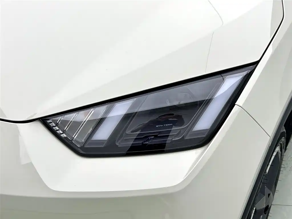 BYD Seagull 2024 Glory Edition 305km Freedom Edition фото 5