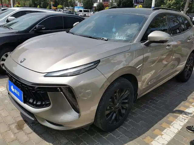  Dongfeng Fengxing Fengxing T5 EVO 2021 1.5TD DCT Starlight Edition
