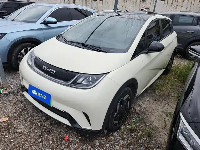 BYD Dolphin 405km, Стиль