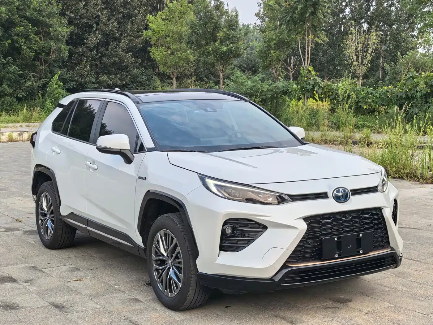 2025 Toyota Wildlander