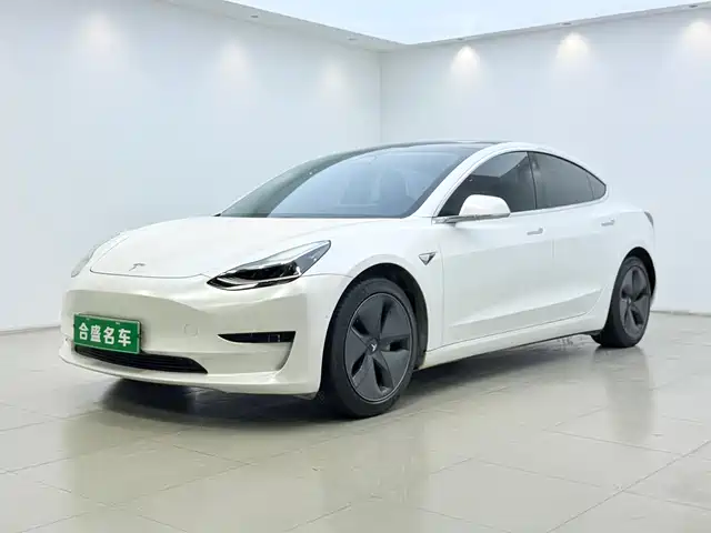 Tesla Model 3 2019 Standard Range Rear-Wheel Drive Upgrade