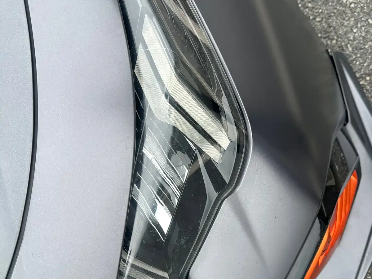 GAC TRUMPCHI SHADOW LEOPARD