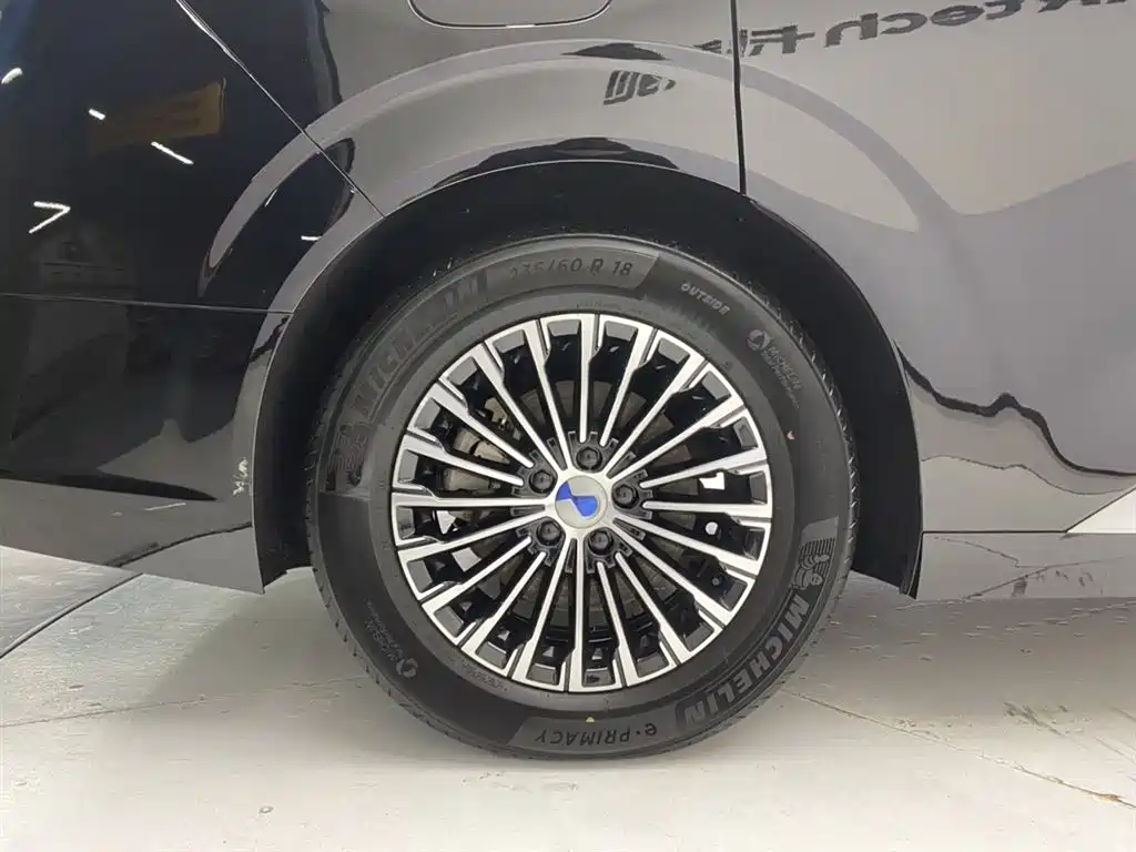 Denza D9 2022 DM-i 970 All-Wheel Drive Honor Edition фото 11