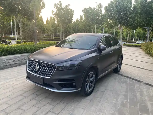 Borgward Borgward BX7 2018 2.0T TS AWD Luxury (China V)