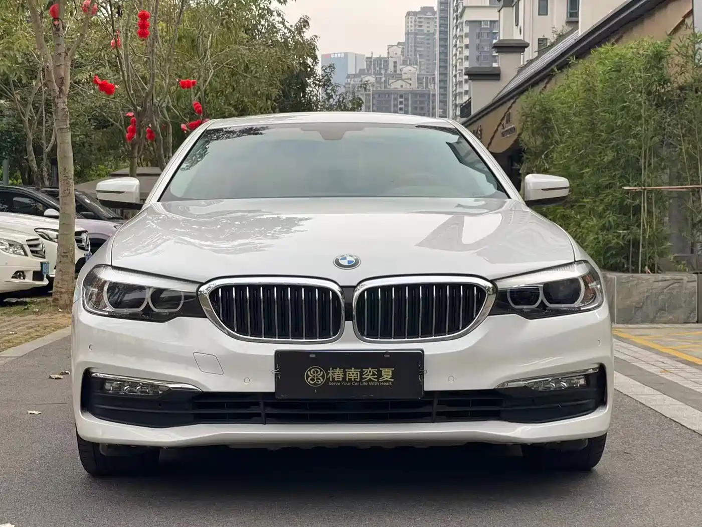 BMW 5 Series 2018 528Li Launch Special Edition фото 2