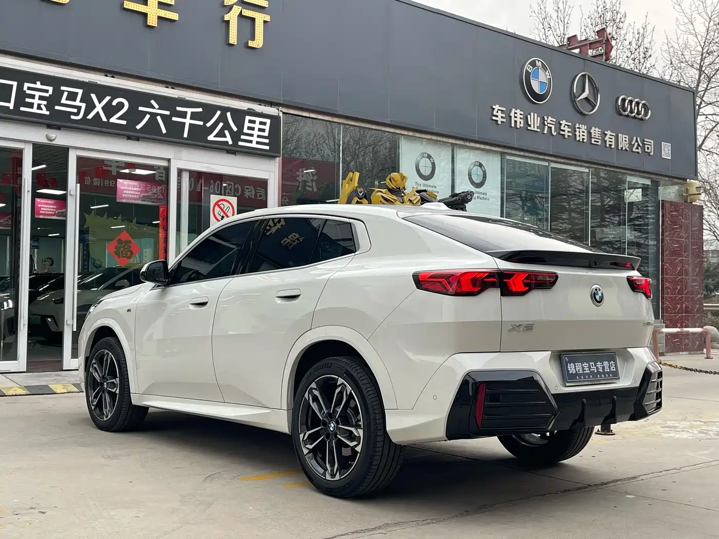BMW X2 (Import) 2024 sDrive25i M Sport Package фото 6