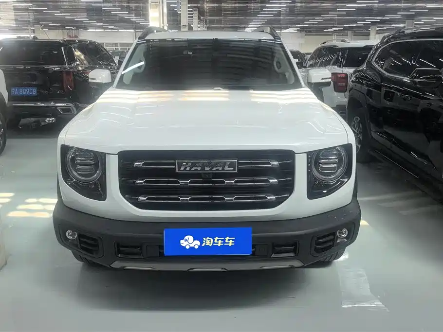 Haval Big Dog 2021 1.5T DCT 2WD Border Collie Edition фото 2