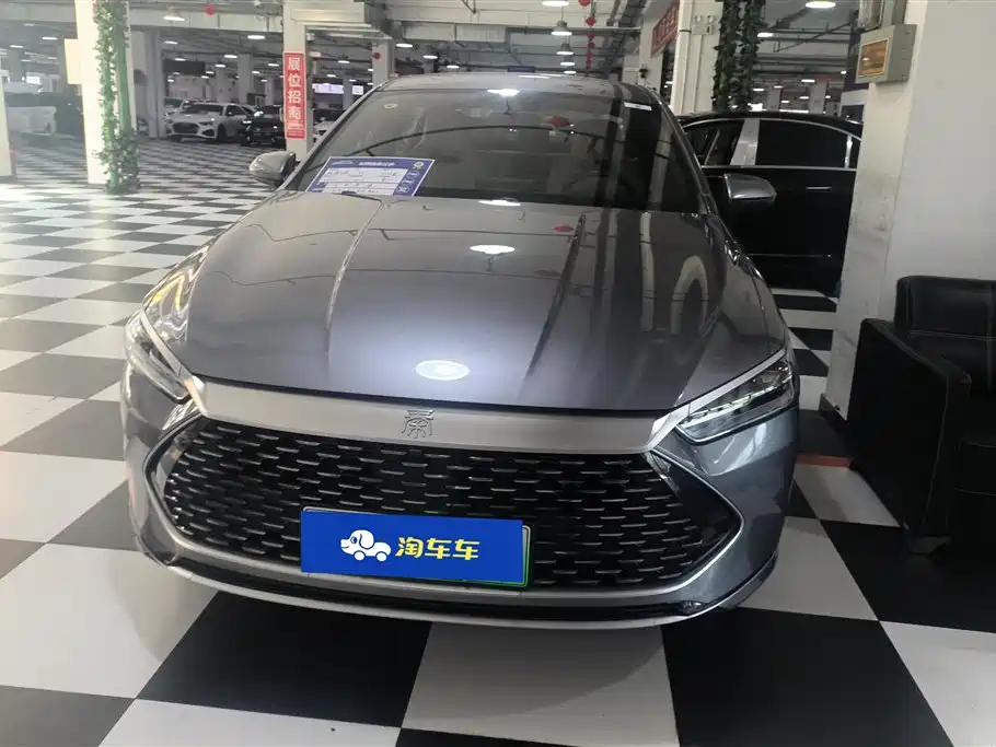 BYD Qin PLUS 2024 Glory Edition DM-i 55KM Leading фото 2