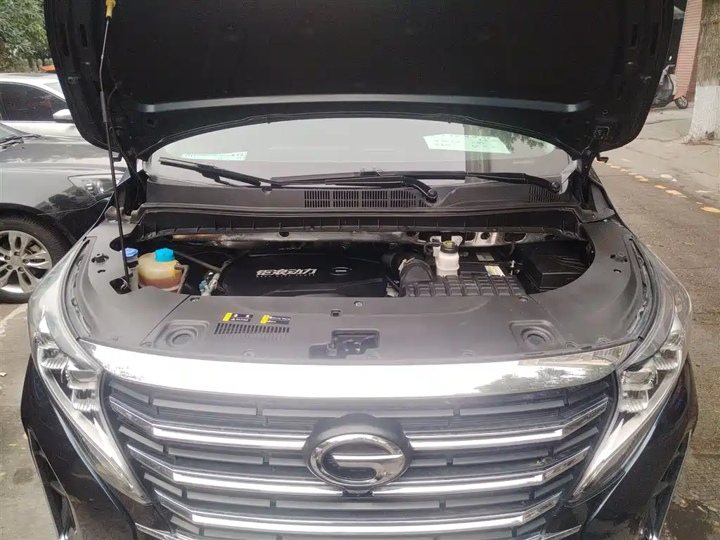 GAC Trumpchi Trumpchi M8 2023 Leading Series 390T Premium Edition фото 20