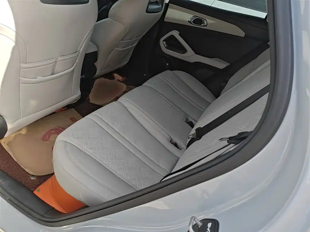 BYD Yuan UP 2024 401KM Leading Edition фото 17