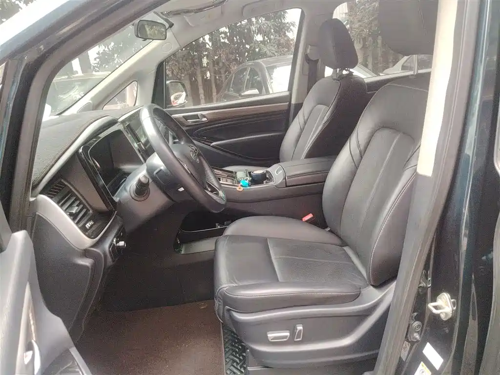GAC Trumpchi Trumpchi M8 2023 Leading Series 390T Premium Edition фото 15