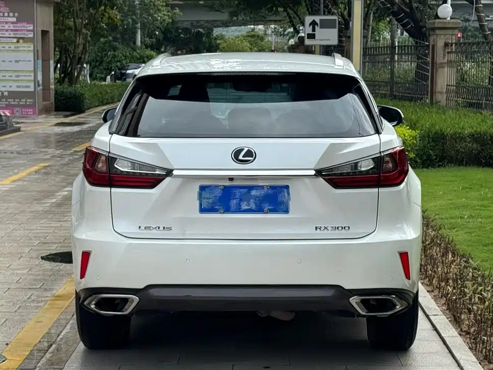 Lexus RX 2016 300 2WD Comfort Edition China V фото 5