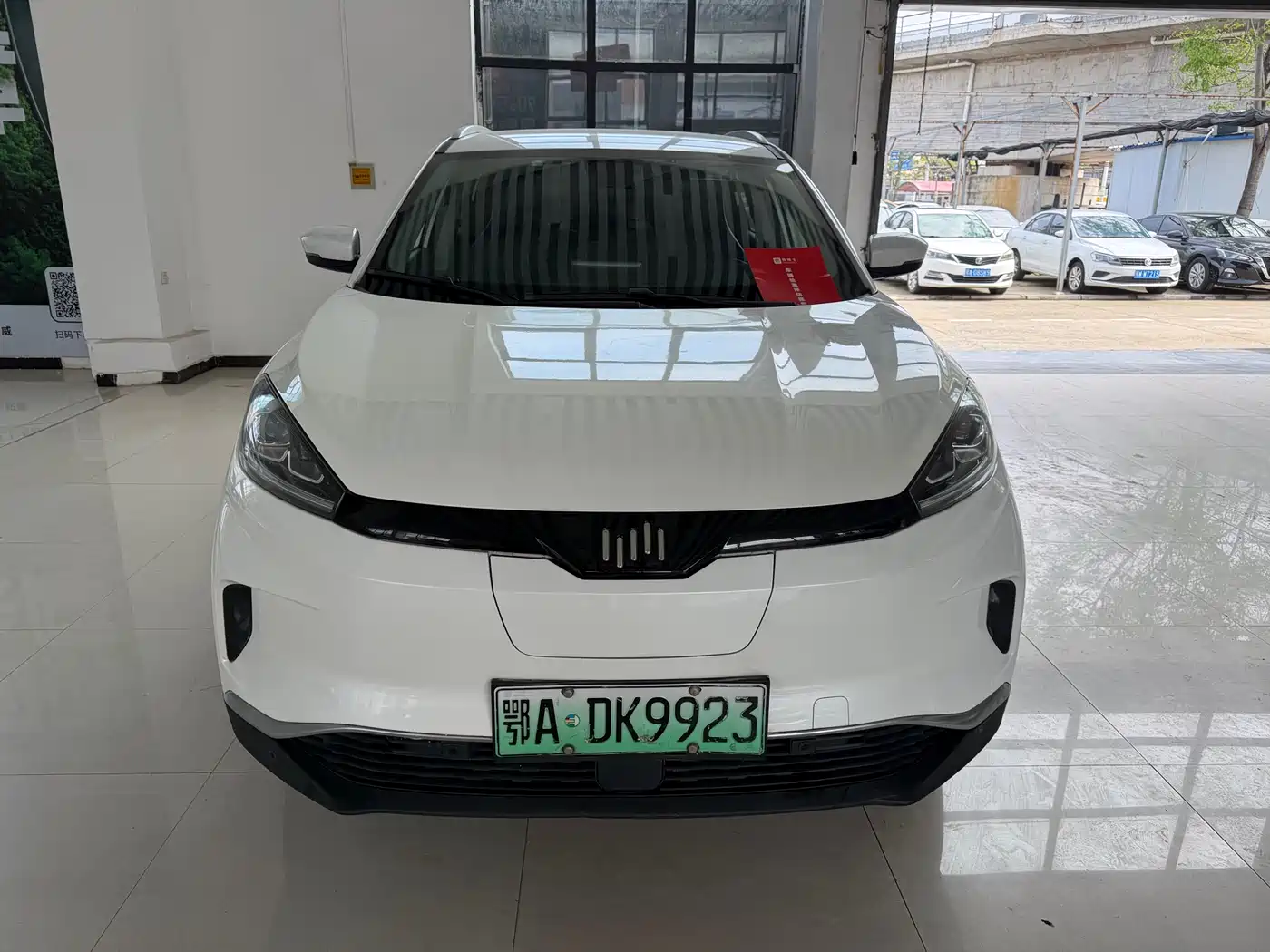 Weltmeister WEIMA EX5