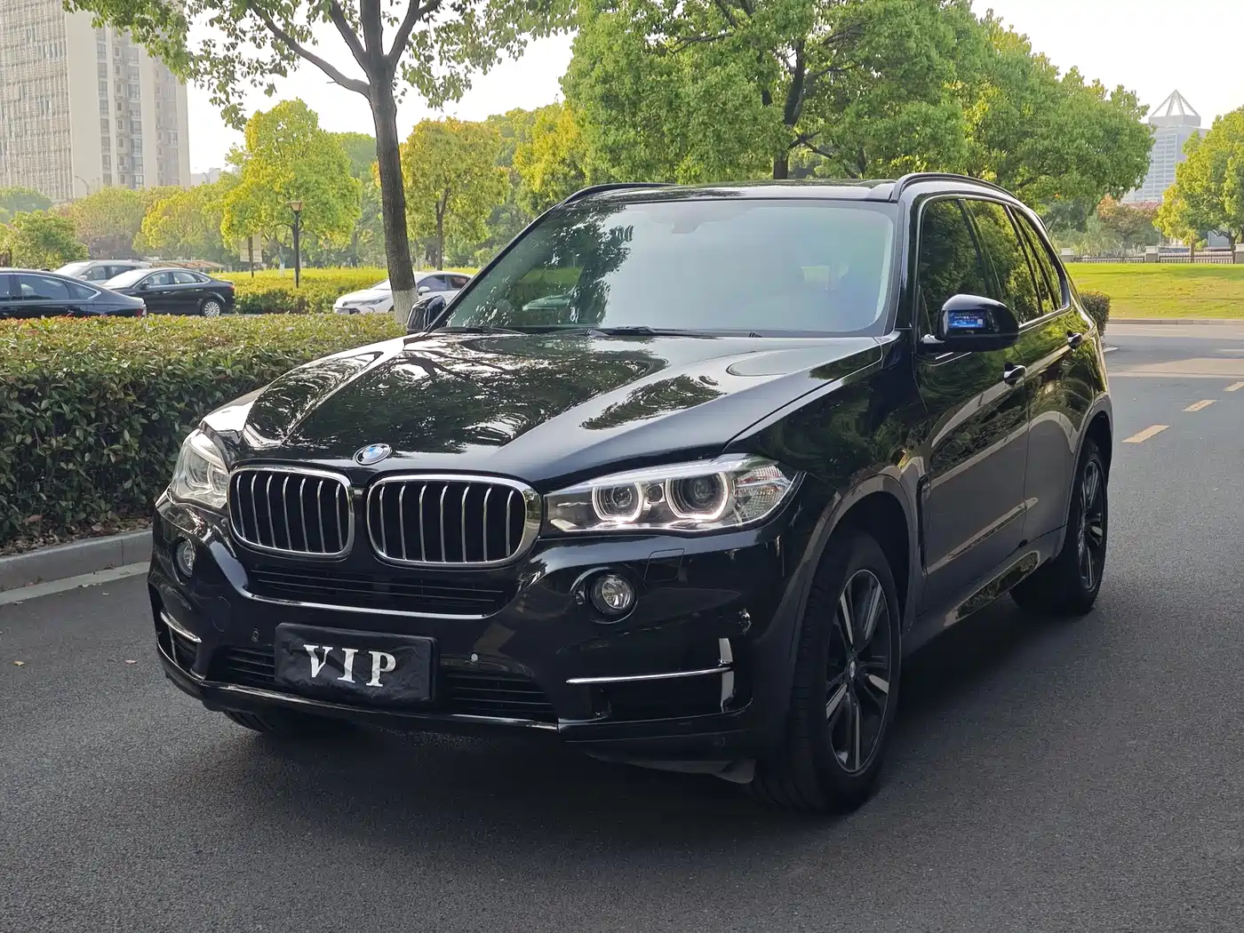 BMW X5 (Import) 2017 xDrive35i Elegance