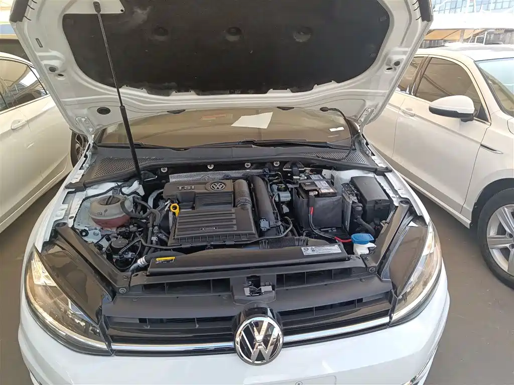 Volkswagen Golf 2019 280TSI DSG Luxury China VI фото 20