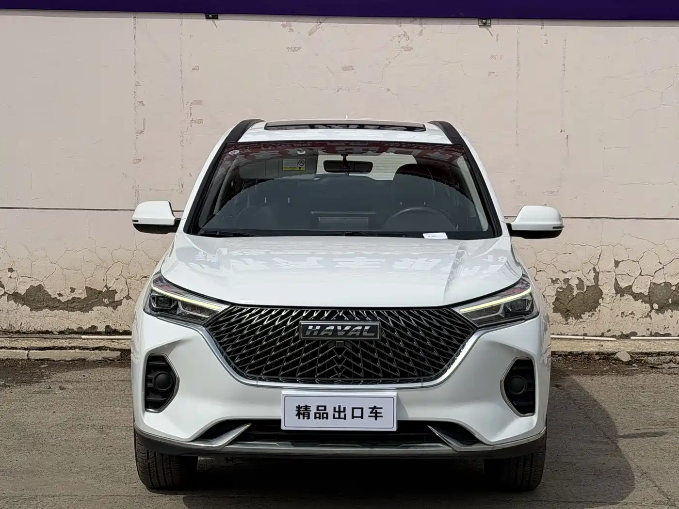 HAVAL M6
