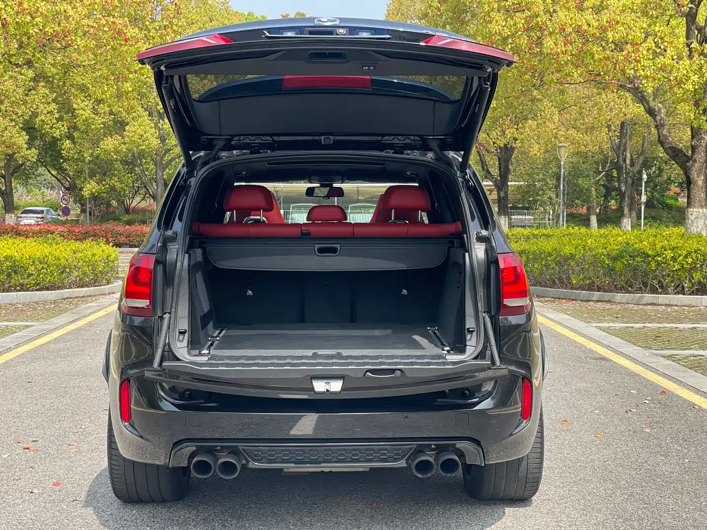 BMW X5 M 2013 X5 M фото 11