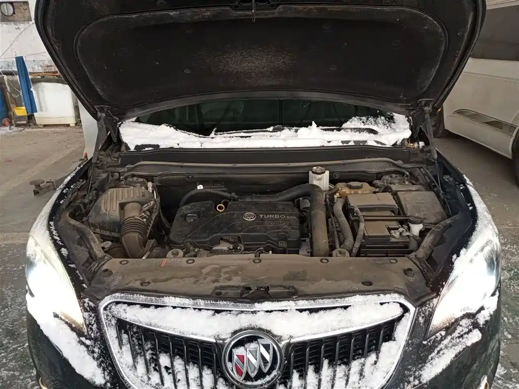 Buick Envision Plus 2018 20T 2WD Elite фото 10