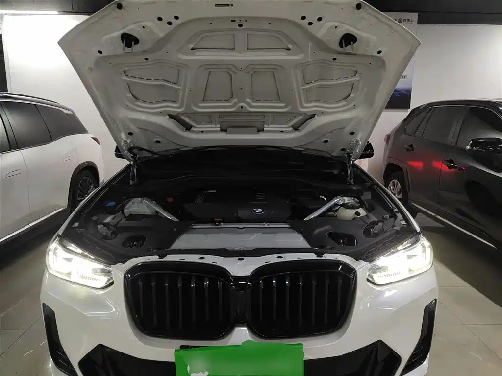 BMW X3 2022 xDrive30i Leading M Night Package фото 10