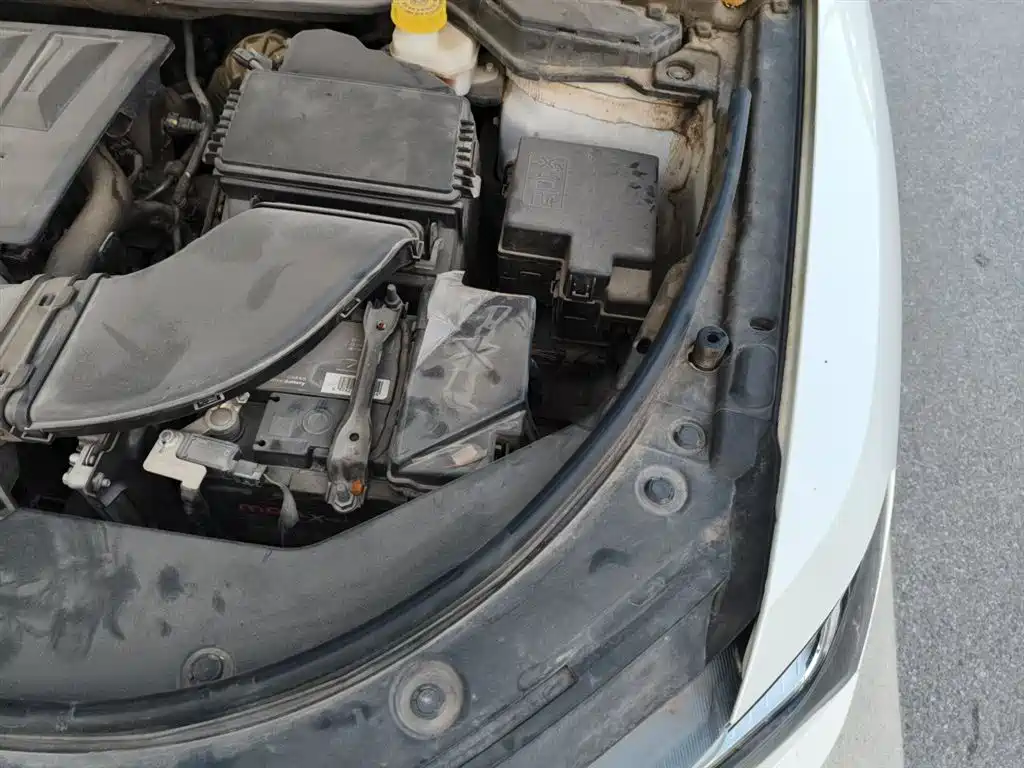 Haval H4 2019 1.5GDIT DCT Elite Smart Connection China VI фото 24