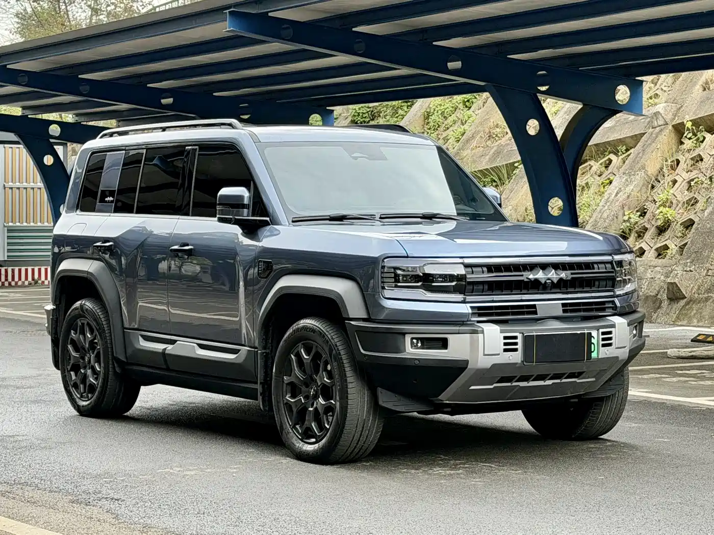 FANG CHENG BAO LEOPARD 5