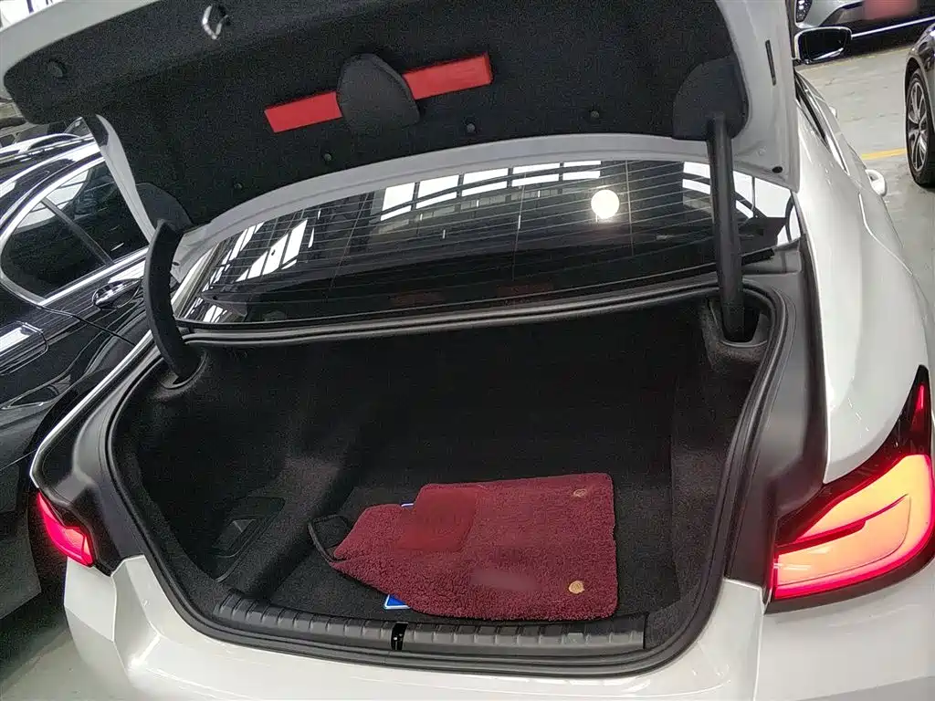BMW 5 Series 2021 530Li Leading M Sport Package фото 9