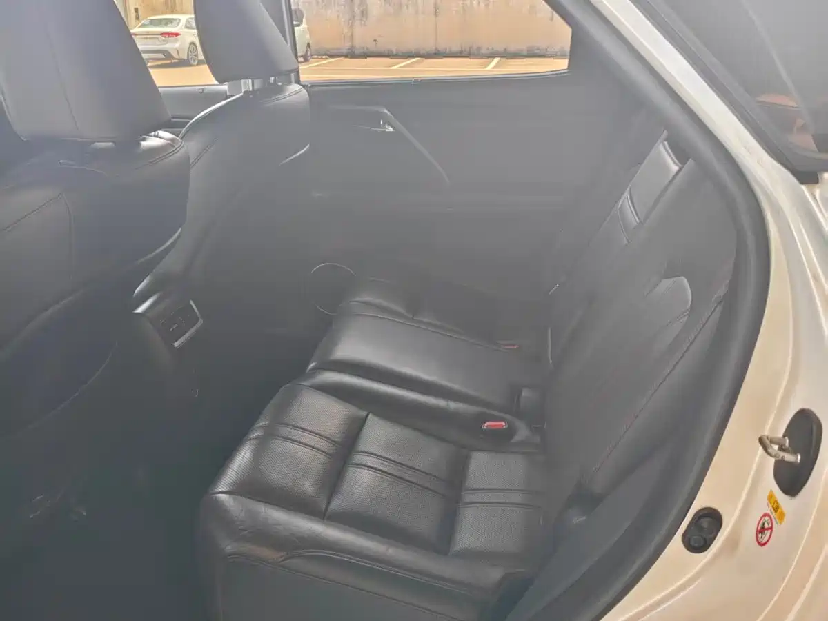 Фото 5 - Lexus RX
