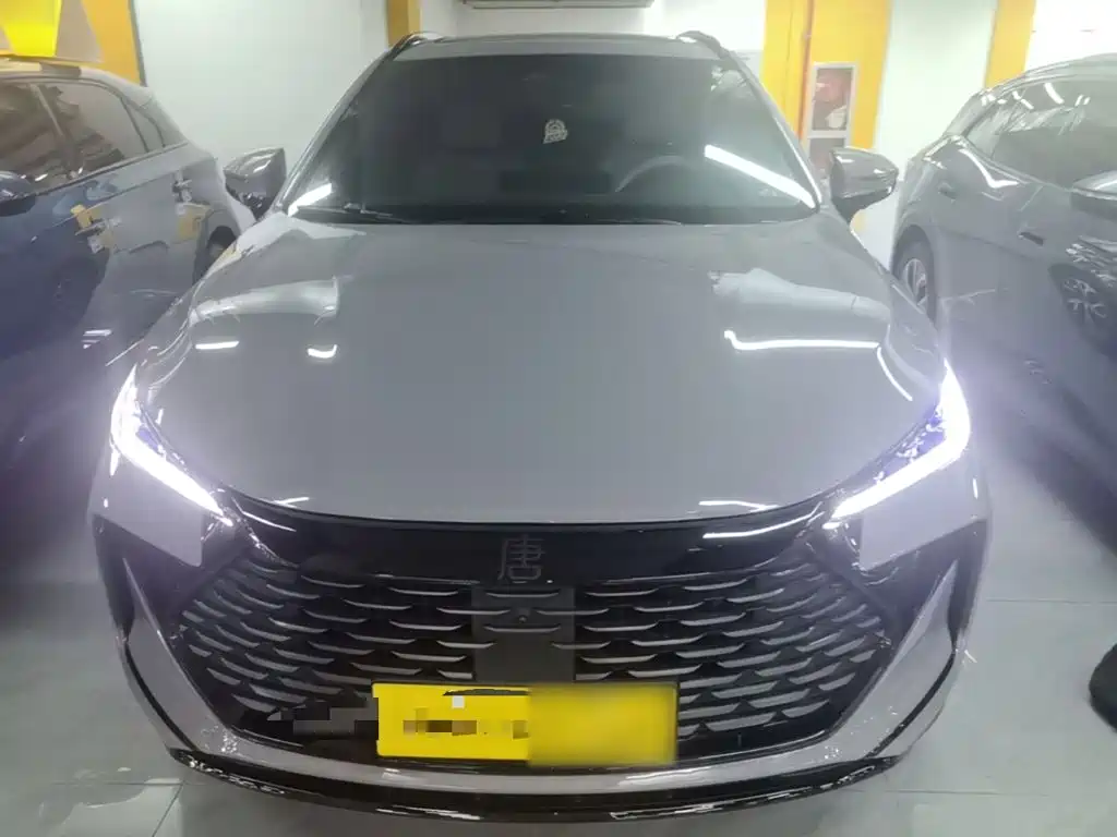 BYD Tang New Energy 2025 2025 DM-i 115KM Prestige Type