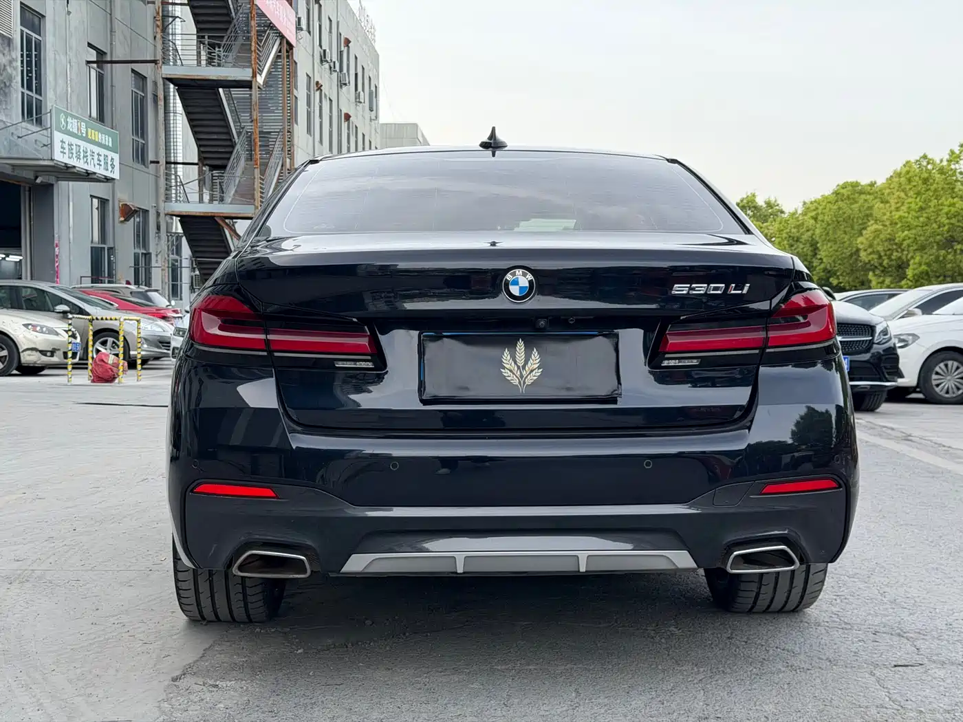 BMW 5 Series 2022 530Li Leading M Sport Package фото 14