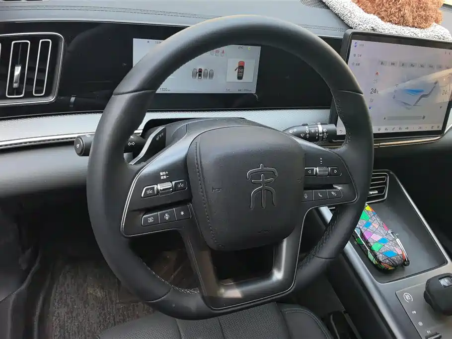 BYD Song Pro New Energy 2025 2nd Generation Smart Drive Edition DM-i 75KM Surpassing Type фото 15